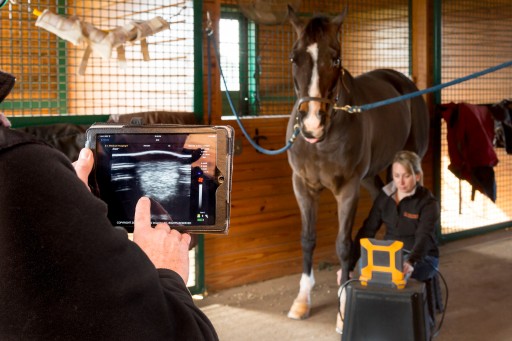 E.I. Medical Imaging Announces Release of Software Update for Ibex® EVO® Ultrasound System